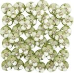 Tidbits? - Beaded Moti & Sitara with White Stone (Pack 25 Pcs) Applique Patches for Embroidery, Suit, Duppata, Blouse, Decoration, Craft Making, Dress, & Many More [Color - Light Green, Size - 2cm]