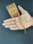 Pooja Craft & Lace Zari Border Moti Lace for Sewing & Embroidery | Decorative Trim for Saree, Dupatta, Blouse, Lehenga, Kurti, Dresses & Craft Projects (Anmol) (18 Meter) (Multi 5)