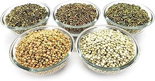 AAASAH? Flat Back Kundan Stones in Multicolor for Craft, Embroidery Lippan Artwork and Jewellery Making 5Color 750pc