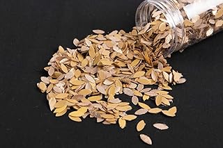 Mohan Shoppe Rose Gold Color Eye Shape Gota Patti for Embroidery Dresses Ladies Suits Saree Blouses Decoration Making Purpose (Pack of 50 Gram)