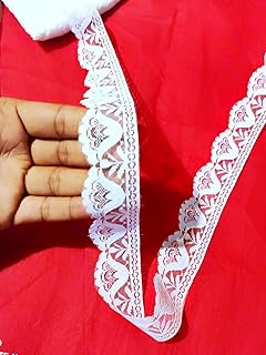 White lace net Flower Cutwork Thread self Border Ribbon, dyeble lace for Cotton Dresses, Saree Border net, Ribbon Chicken net lace 10meter (Sleek White)