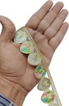 Laces Borders Material Gota Patti Sewing Embroidery Ribbon Trim Cutwork Golden zari Fabric Decoration Craft Clothes 9Meter For Saree Suit Bridal Dupatta Blouse Dress Choli Lehenga Anarkali Hijab Gown Kurti. (Light Multi Colour)