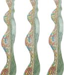 Jolly Counter Suryamukhi Jari Lace Reel 9 Meter x 1.25 Inch | Golden Decorative Border for Saree, Dupatta, Blouse, Craft & Wedding Decoration