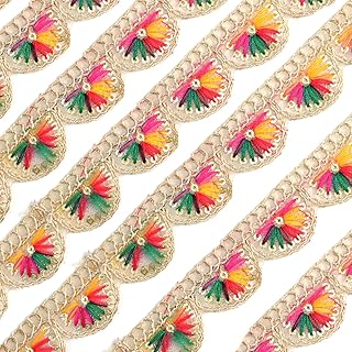 EmbroideryMaterial Trim Laces & Borders Material, Zari on Net Design Border Lace for Saree Border, Kurta, Dupatta, Blouse, Gown, Lehenga & Neckline (9 Meters, 2.4 CM Wide) (Zari on Net Multicolor)