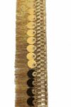 DIARA Gold Zari-2 Tassel Fringe Sequence Lace Border fo...