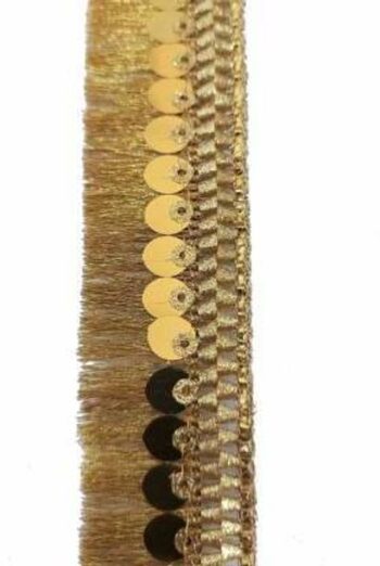 DIARA Gold Zari-2 Tassel Fringe Sequence Lace Border fo...
